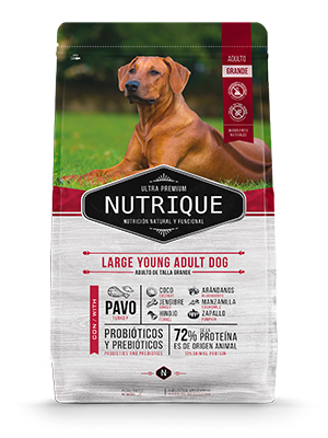 PERROS ALIMENTO NUTRIQUE LARGE YOUNG ADULT 3 KG