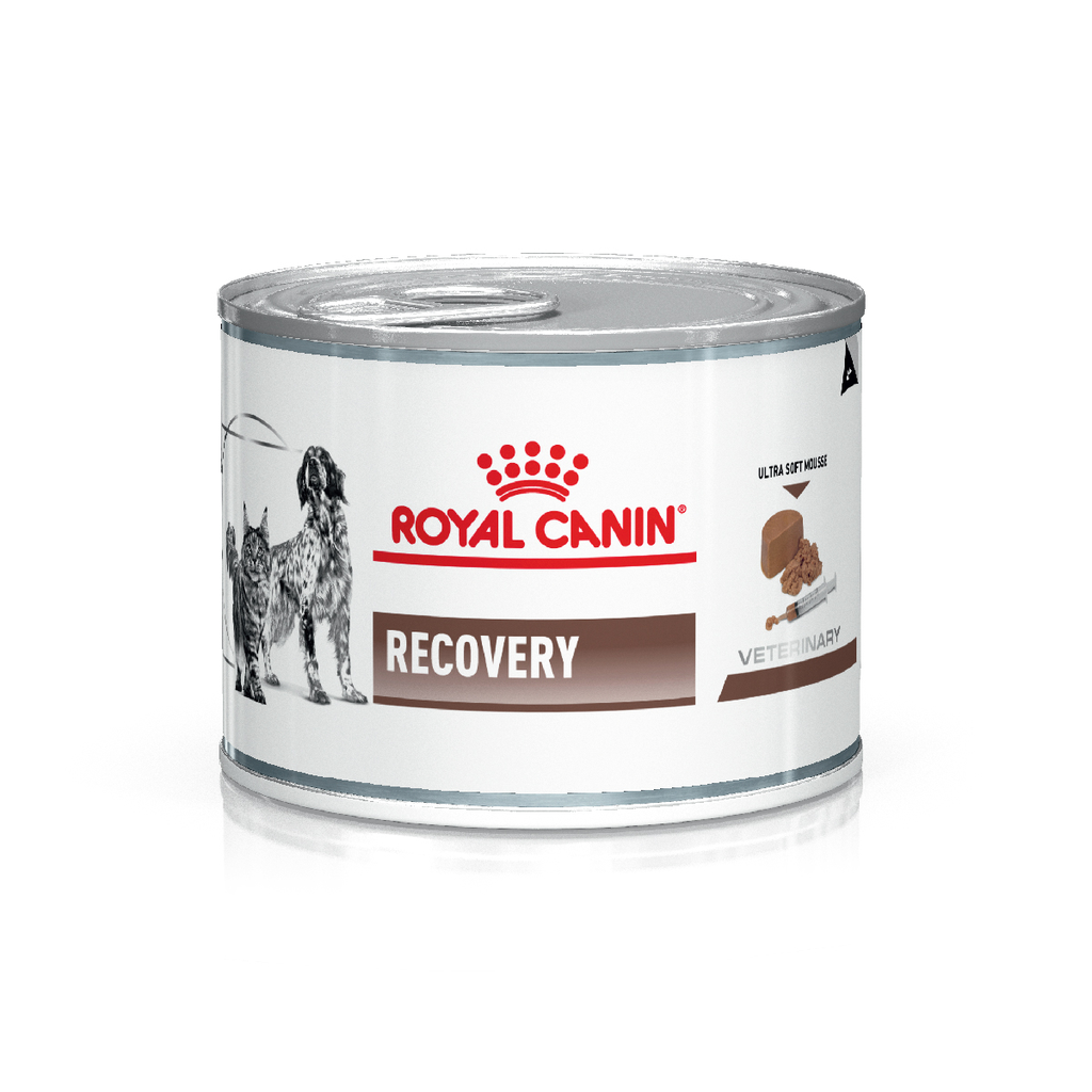 POUCH PERROS Y GATOS ROYAL CANIN LATA RECOVERY X 195 GR