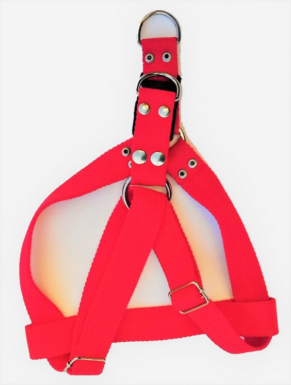 PRETAL REGULABLE N 4