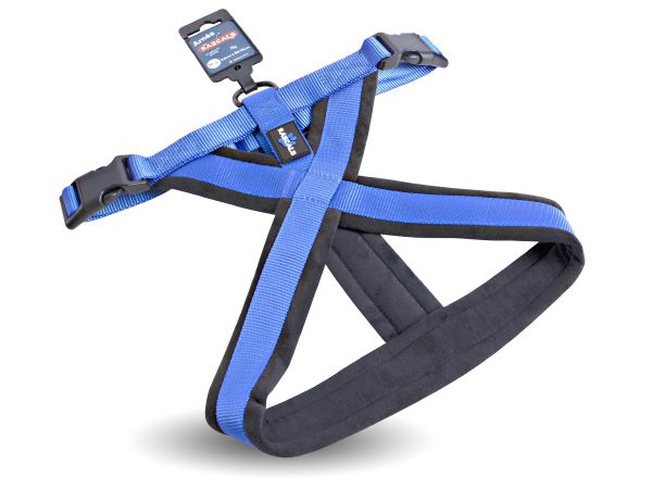 ARNÉS ACOLCHADO PREMIUM AZUL XS - S
