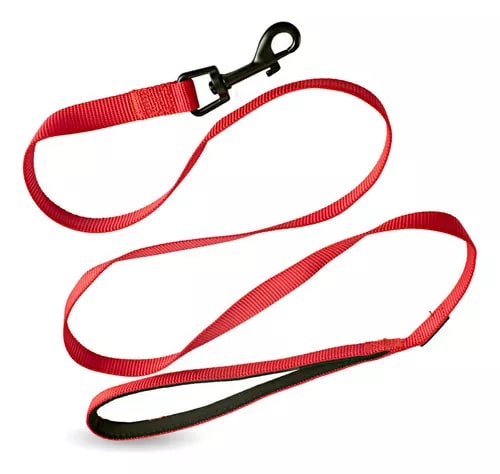 [BZN219] CORREA ACOLCHONADA ROJA L