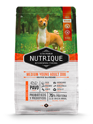 [BZN789] PERROS ALIMENTO NUTRIQUE MEDIUM YOUNG ADULT 3 KG