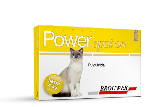 [BZN848] PIPETA POWER GATOS H - 4 KG (SPOT ON)