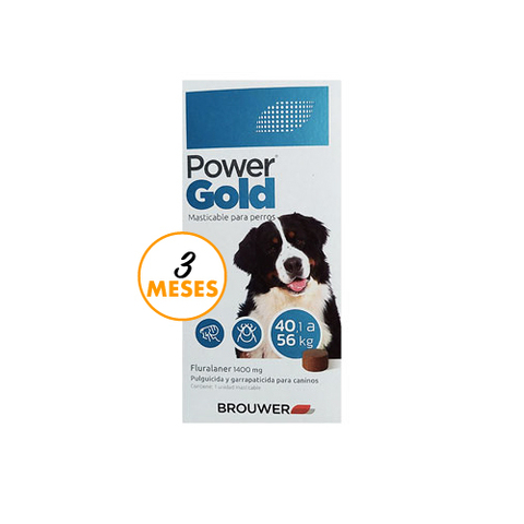 [BZN898] POWER GOLD COMPRIMIDO H - 56